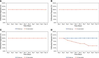 Thresholds of hypoxia of two Red Sea coral species (Porites sp. and Galaxea fascicularis)
